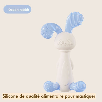 lapin océan bleu