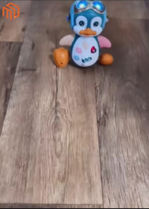 pingouin marcheur vidéo
